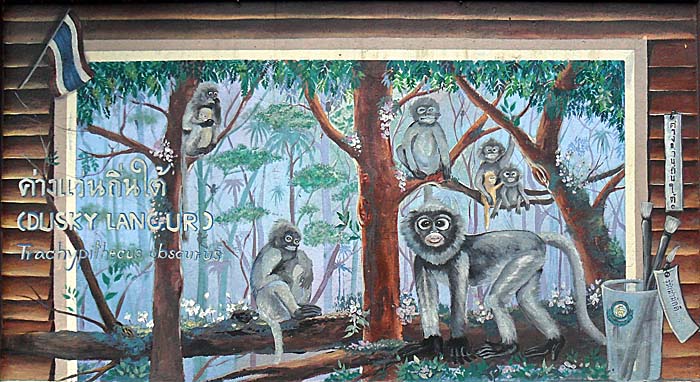 'Wallpainting of Dusky Langures in Dusit Zoo, Bangkok' by Asienreisender